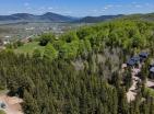 Build your dream boutique spa hotel in Žabljak exclusive location