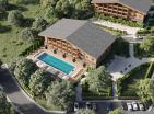 Prime mountain 8700 m2 land in Žabljak for building luxury hotel