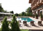 Prime mountain 8700 m2 land in Žabljak for building luxury hotel