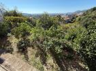 Charming legal 200 m2 home in Bar with sea views and fruit trees