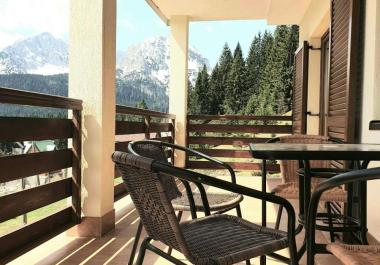 Charming 56 m2 one bedroom flat in Žabljak next to Black Lake