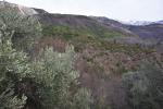 Land for sale in Becici 4470 m2