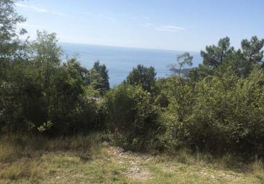Flat land above Budva with sea view to town and Sveti Stefan