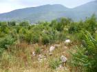 Flat plot of land in Gorica, Danilovgrad on main highway